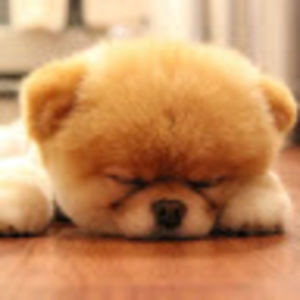 Meet your Posher, Barbaranna